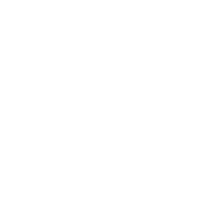 NSA-CSP Logo White on Transparency