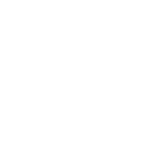 National Speakers Association White on Transparency