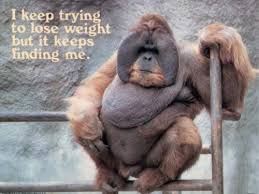 Orangutan Meme for Losing Weight