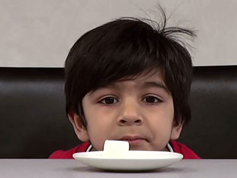 Kid with Marshmallow on Plate